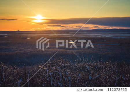 夕陽照耀下的釧路濕原的霜 112072755