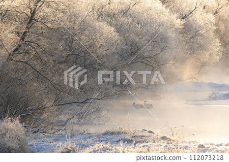 霜凍的樹木和棲息在早晨陽光下的丹頂鶴 112073218