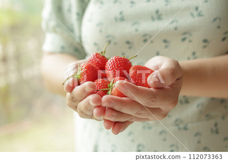 Woman hands holding fresh red strawberries close up 112073363