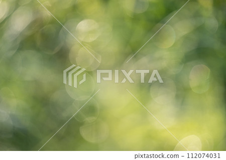 Sparkling fresh green eco image Sparkling fresh green eco image 112074031