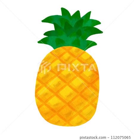 整顆鳳梨 112075065