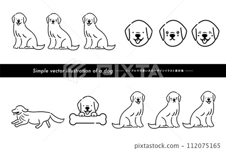 可愛的金毛犬/寵物插圖集，具有手寫的感覺，可以用作插圖或圖示。 112075165