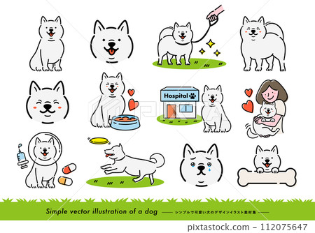 Cute pet illustration set of a white Shiba Inu with a handwritten feel that can be used as illustrations or icons_White background Cute pet illustration set of a white Shiba Inu with a handwritten feel that can be used as illustrations or icons_White background 112075647