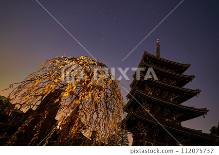 神奈川縣川崎市淺尾區的光林寺五層塔和冬季梅花盛開的星空 神奈川縣川崎市淺尾區的光林寺五層塔和冬季梅花盛開的星空 112075737