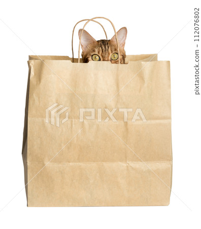 A cute red cat looks out of a paper bag. A cute red cat looks out of a paper bag. 112076802