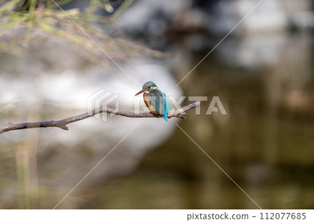 Jade relax 112077685