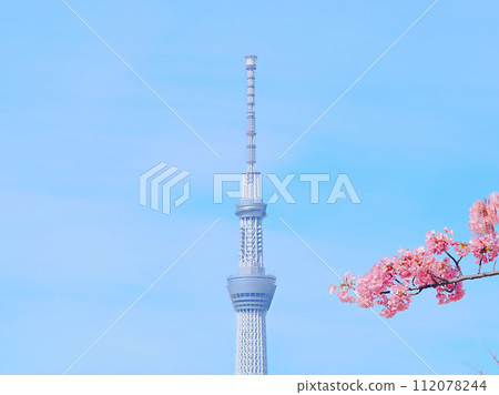 晴空塔和櫻花在萬裡無雲的藍天映襯下閃閃發光 晴空塔和櫻花在萬裡無雲的藍天映襯下閃閃發光 112078244