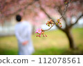 Cherry blossom and back view 112078561