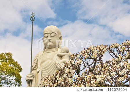 白梅花和相模子味藏尊(冬季,二月) 白梅花和相模子味藏尊(冬季,二月) 112078994