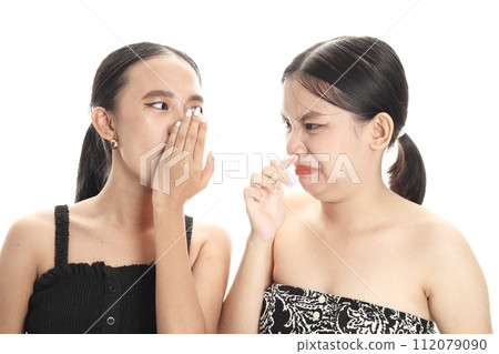 two beautiful women two beautiful women 112079090