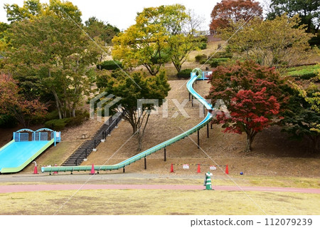 Kanagawa Prefecture, Isehara City Sports Park Children's Square long slide and autumn leaves 112079239