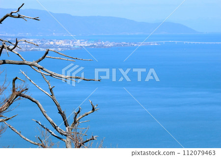 Ikenouchi Observatory: Beautiful scenery of Lake Biwa seen through dead trees 112079463