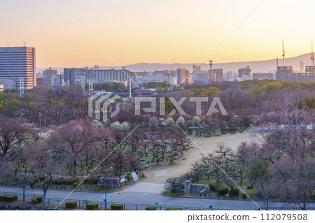 從大阪城月見櫓遺址看到的梅林美景 從大阪城月見櫓遺址看到的梅林美景 112079508