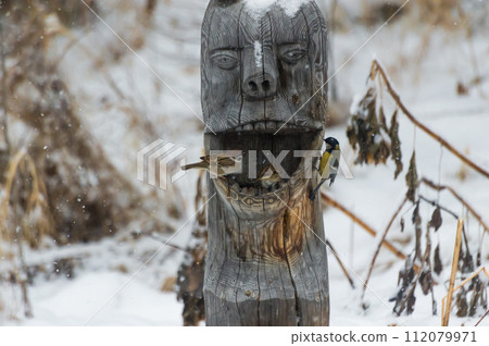 Sparrows (lat. Passer domesticus)  in a bird feeder on a snowy winter day. Photo project " Birds." Birds of Eastern Siberia. 112079971