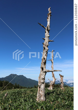 夏天的石錘山脈 112080687