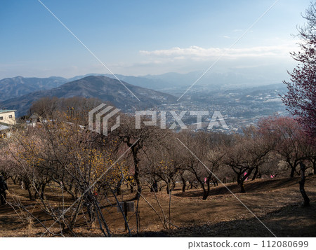 殘雪的寶登山露梅庭園【埼玉縣長瀞町】 112080699