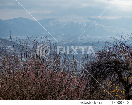 殘雪的寶登山露梅庭園【埼玉縣長瀞町】 殘雪的寶登山露梅庭園【埼玉縣長瀞町】 112080730