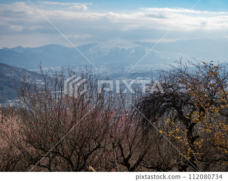 Hodozan Roubai Garden with remaining snow [Nagatoro Town, Saitama Prefecture] 112080734