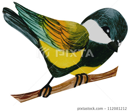 Little Bird watercolor hand paint 112081212