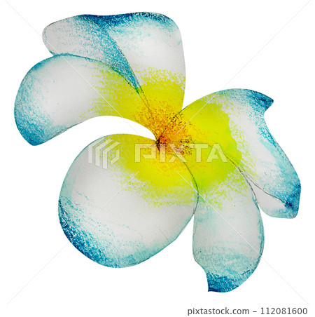 Watercolor Floral Botanical hand paint 112081600