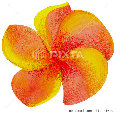 Watercolor Floral Botanical hand paint 112081640