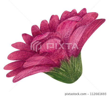 Watercolor Floral Botanical hand paint 112081693