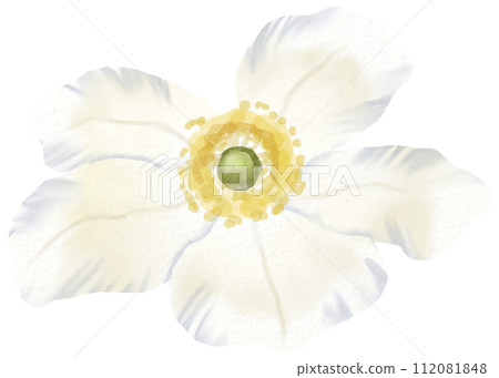 Watercolor Floral Botanical hand paint 112081848