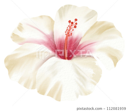 Watercolor Floral Botanical hand paint Watercolor Floral Botanical hand paint 112081939