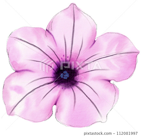 Watercolor Floral Botanical hand paint 112081997