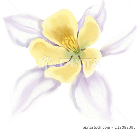 Watercolor Floral Botanical hand paint Watercolor Floral Botanical hand paint 112082393