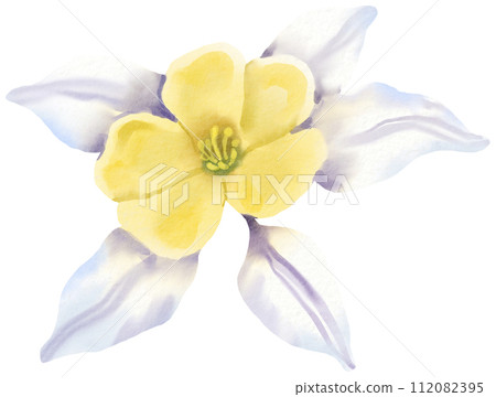 Watercolor Floral Botanical hand paint Watercolor Floral Botanical hand paint 112082395