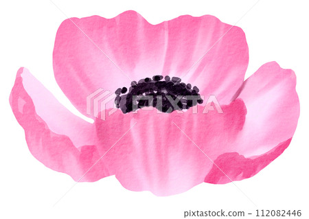 Watercolor Floral Botanical hand paint 112082446