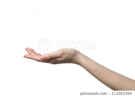 PNG,female hand, isolated on white background 112083364