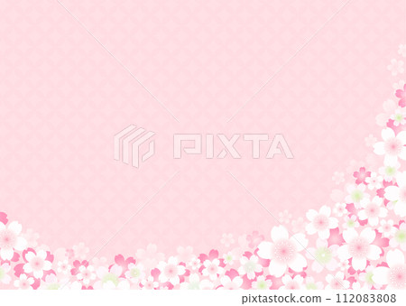 Full bloom cherry blossom petals background illustration 112083808