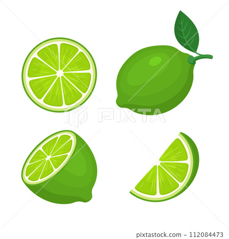 Lime With Slices and Leaves Set on white background. Vector 112084473