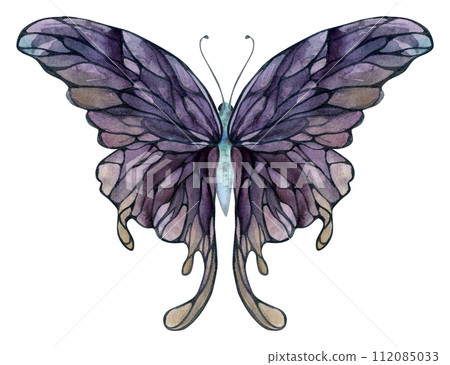 Hand drawn watercolor illustration butterfly fairy wings gem crystal insect moth. Amethyst charoite fluorite ametrine. Single object isolated on white background. Design print, shop, wedding, birthday 112085033