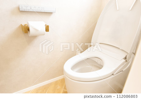 Western style toilet 112086803