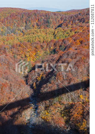 Autumn leaves of Jogakura Stream seen from Jogakura Ohashi Bridge in Towada-Hachimantai National Park in Aomori City, Aomori Prefecture, Japan Autumn leaves of Jogakura Stream seen from Jogakura Ohashi Bridge in Towada-Hachimantai National Park in Aomori City, Aomori Prefecture, Japan 112087811