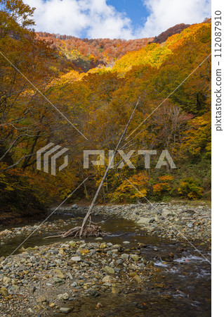 Anmon River and autumn leaves along the Anmon Valley route in the Shirakami Mountains, a world heritage site in Nakatsugaru District, Aomori Prefecture, Japan Anmon River and autumn leaves along the Anmon Valley route in the Shirakami Mountains, a world heritage site in Nakatsugaru District, Aomori Prefecture, Japan 112087910
