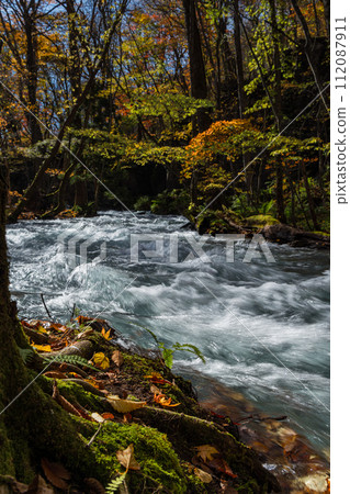 Japan, Towada City, Aomori Prefecture, autumn leaves of Oirase Stream that runs from Nenokuchi of Lake Towada to Yakeyama Japan, Towada City, Aomori Prefecture, autumn leaves of Oirase Stream that runs from Nenokuchi of Lake Towada to Yakeyama 112087911