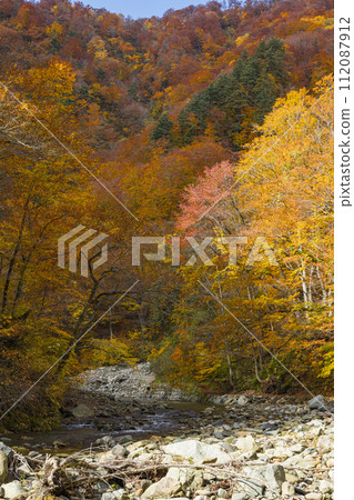 Anmon River and autumn leaves along the Anmon Valley route in the Shirakami Mountains, a world heritage site in Nakatsugaru District, Aomori Prefecture, Japan Anmon River and autumn leaves along the Anmon Valley route in the Shirakami Mountains, a world heritage site in Nakatsugaru District, Aomori Prefecture, Japan 112087912