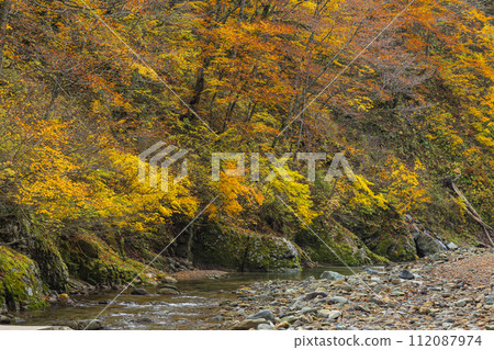 Anmon River and autumn leaves along the Anmon Valley route in the Shirakami Mountains, a world heritage site in Nakatsugaru District, Aomori Prefecture, Japan Anmon River and autumn leaves along the Anmon Valley route in the Shirakami Mountains, a world heritage site in Nakatsugaru District, Aomori Prefecture, Japan 112087974