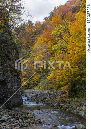 Anmon River and autumn leaves along the Anmon Valley route in the Shirakami Mountains, a world heritage site in Nakatsugaru District, Aomori Prefecture, Japan Anmon River and autumn leaves along the Anmon Valley route in the Shirakami Mountains, a world heritage site in Nakatsugaru District, Aomori Prefecture, Japan 112087986