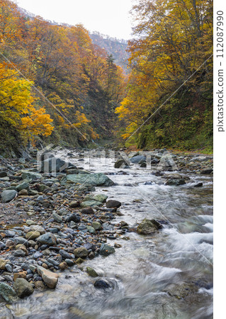 Anmon River and autumn leaves along the Anmon Valley route in the Shirakami Mountains, a world heritage site in Nakatsugaru District, Aomori Prefecture, Japan 112087990