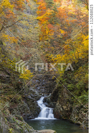The third waterfall and autumn leaves of Anmon Falls in Shirakami Mountains, a world heritage site in Nakatsugaru District, Aomori Prefecture, Japan The third waterfall and autumn leaves of Anmon Falls in Shirakami Mountains, a world heritage site in Nakatsugaru District, Aomori Prefecture, Japan 112088025