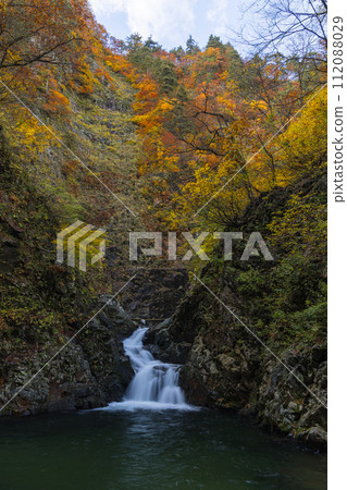 The third waterfall and autumn leaves of Anmon Falls in Shirakami Mountains, a world heritage site in Nakatsugaru District, Aomori Prefecture, Japan The third waterfall and autumn leaves of Anmon Falls in Shirakami Mountains, a world heritage site in Nakatsugaru District, Aomori Prefecture, Japan 112088029