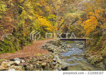 日本青森縣中津輕郡世界遺產白神山脈的安門河和安門谷路線沿線的秋葉 112088167