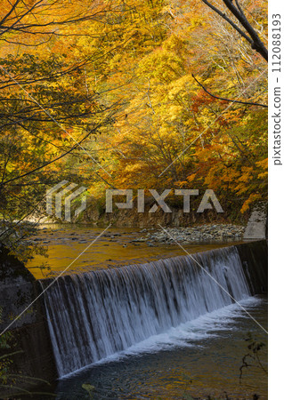 Anmon River and autumn leaves along the Anmon Valley route in the Shirakami Mountains, a world heritage site in Nakatsugaru District, Aomori Prefecture, Japan Anmon River and autumn leaves along the Anmon Valley route in the Shirakami Mountains, a world heritage site in Nakatsugaru District, Aomori Prefecture, Japan 112088193