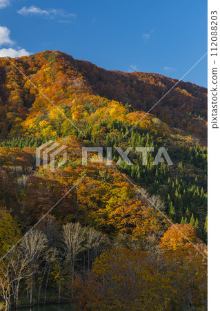 Landscape and autumn leaves seen from Okawa Shirakami Bridge in Nakatsugaru District, Aomori Prefecture, Japan Landscape and autumn leaves seen from Okawa Shirakami Bridge in Nakatsugaru District, Aomori Prefecture, Japan 112088203