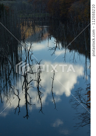Japan: The drying of the Okawa river, the autumn leaves and the sky reflected in the mirror, seen from Okawa Shirakami Bridge in Nakatsugaru District, Aomori Prefecture 112088210